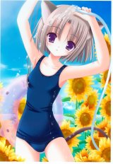 BUY NEW tinkerbell - 152339 Premium Anime Print Poster